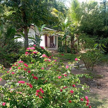 Sanjana Home Stay Хабарана Экстерьер фото