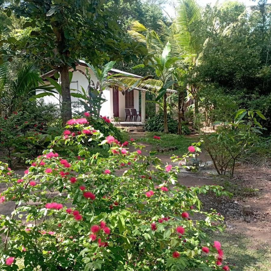 Sanjana Home Stay Хабарана Экстерьер фото