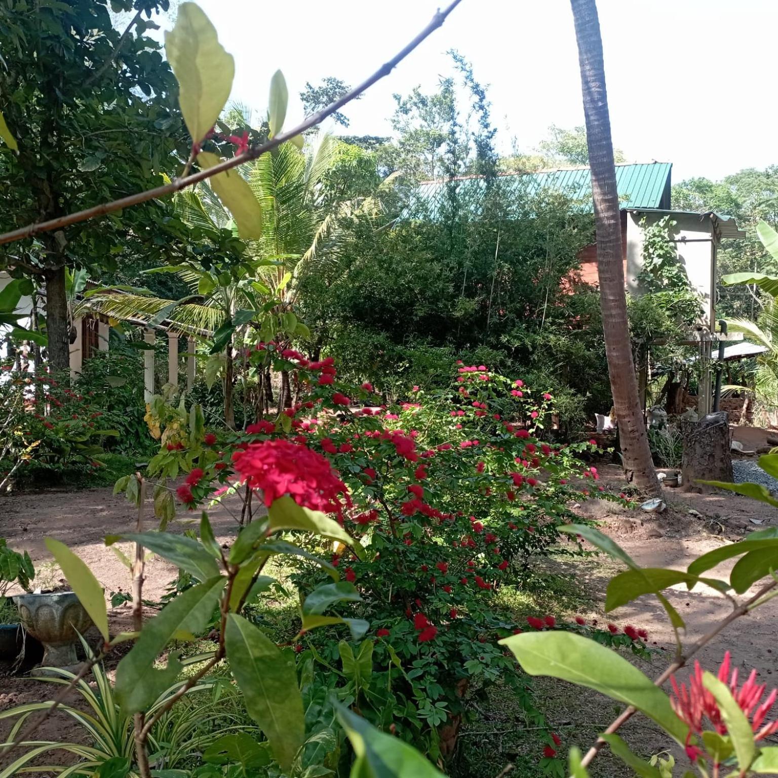 Sanjana Home Stay Хабарана Экстерьер фото