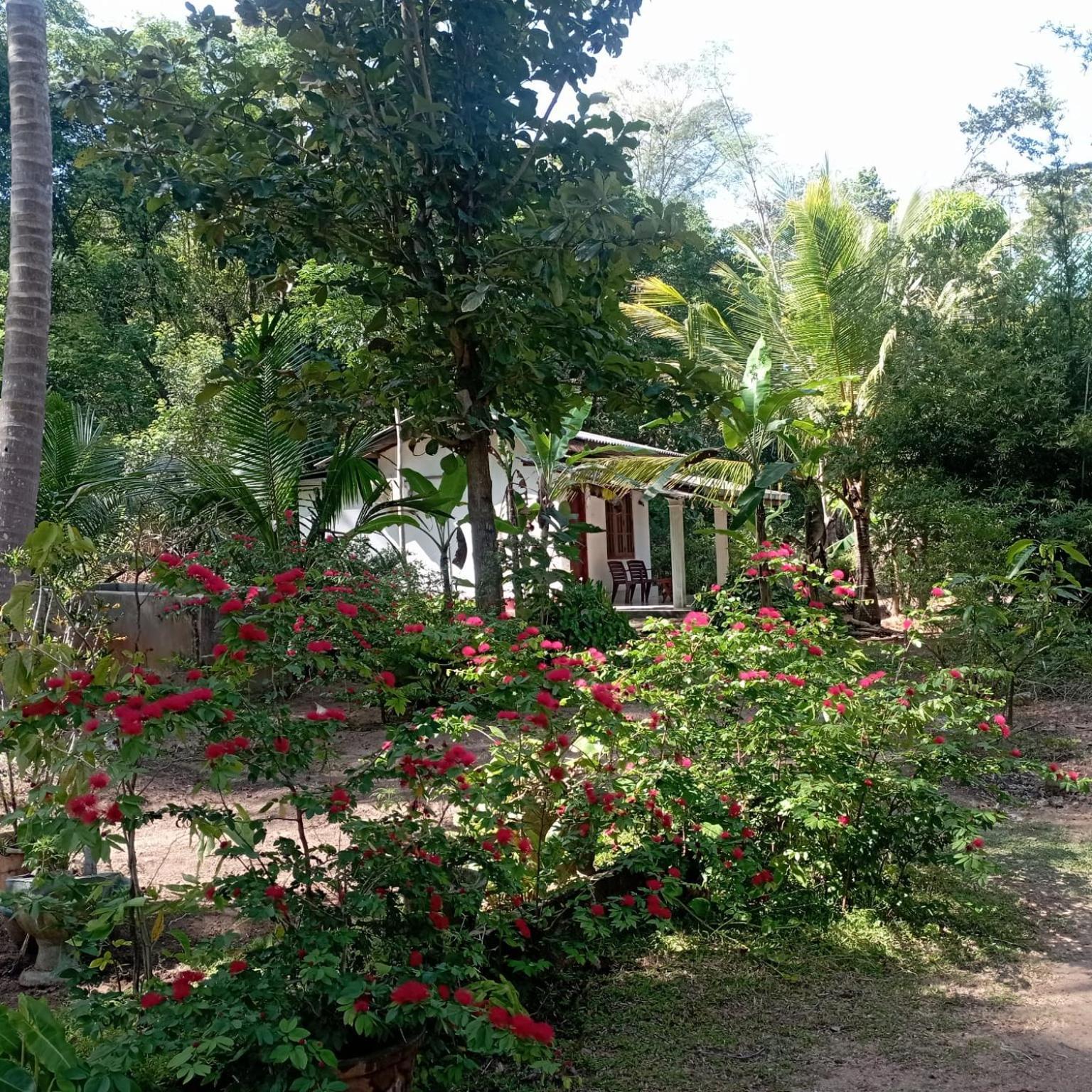 Sanjana Home Stay Хабарана Экстерьер фото