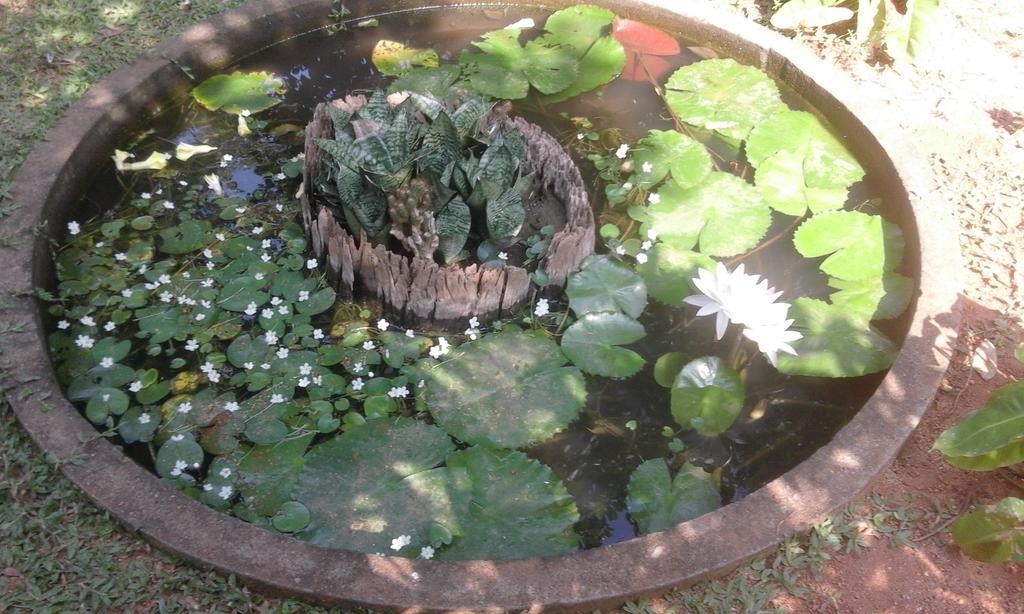 Sanjana Home Stay Хабарана Экстерьер фото
