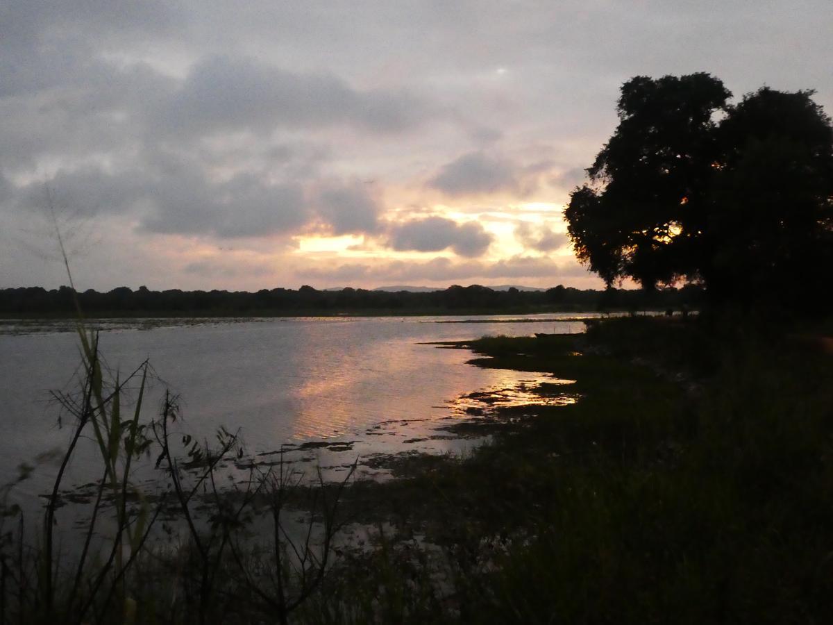 Sanjana Home Stay Хабарана Экстерьер фото