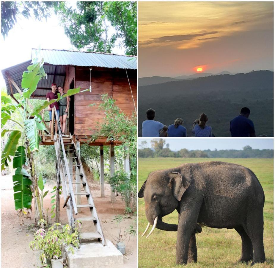 Sanjana Home Stay Хабарана Экстерьер фото